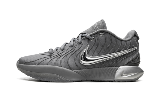 LeBron 21 "Cool Grey" HF5353 001