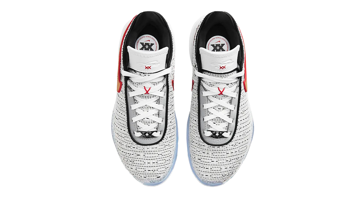 LeBron XX 20 "The Debut" DQ8651 100